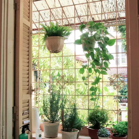 Soul Homestay-2